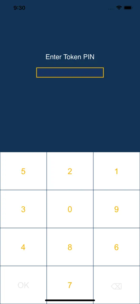 ENBD Egypt Tokens