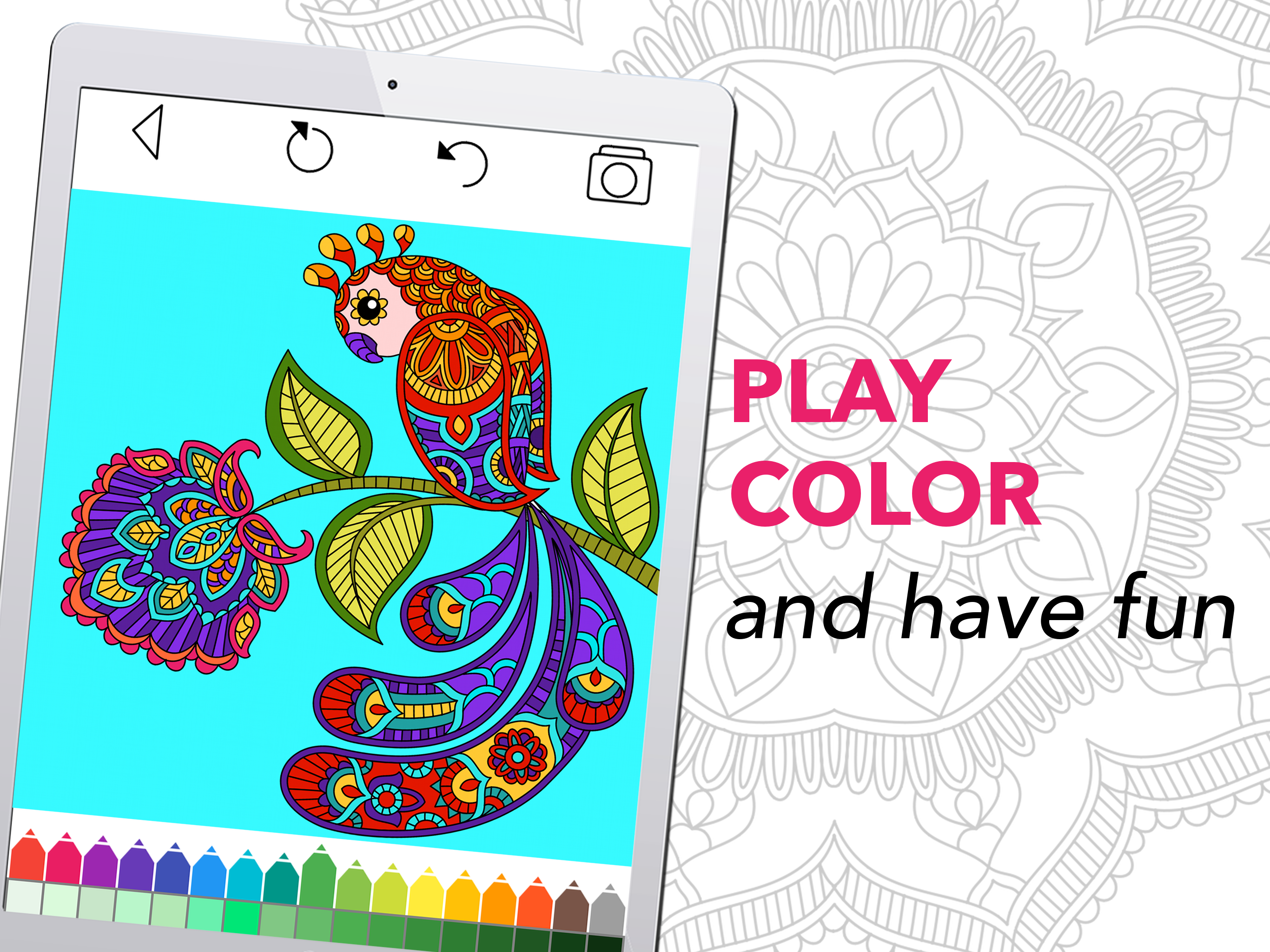 Coloring Book for Adults +