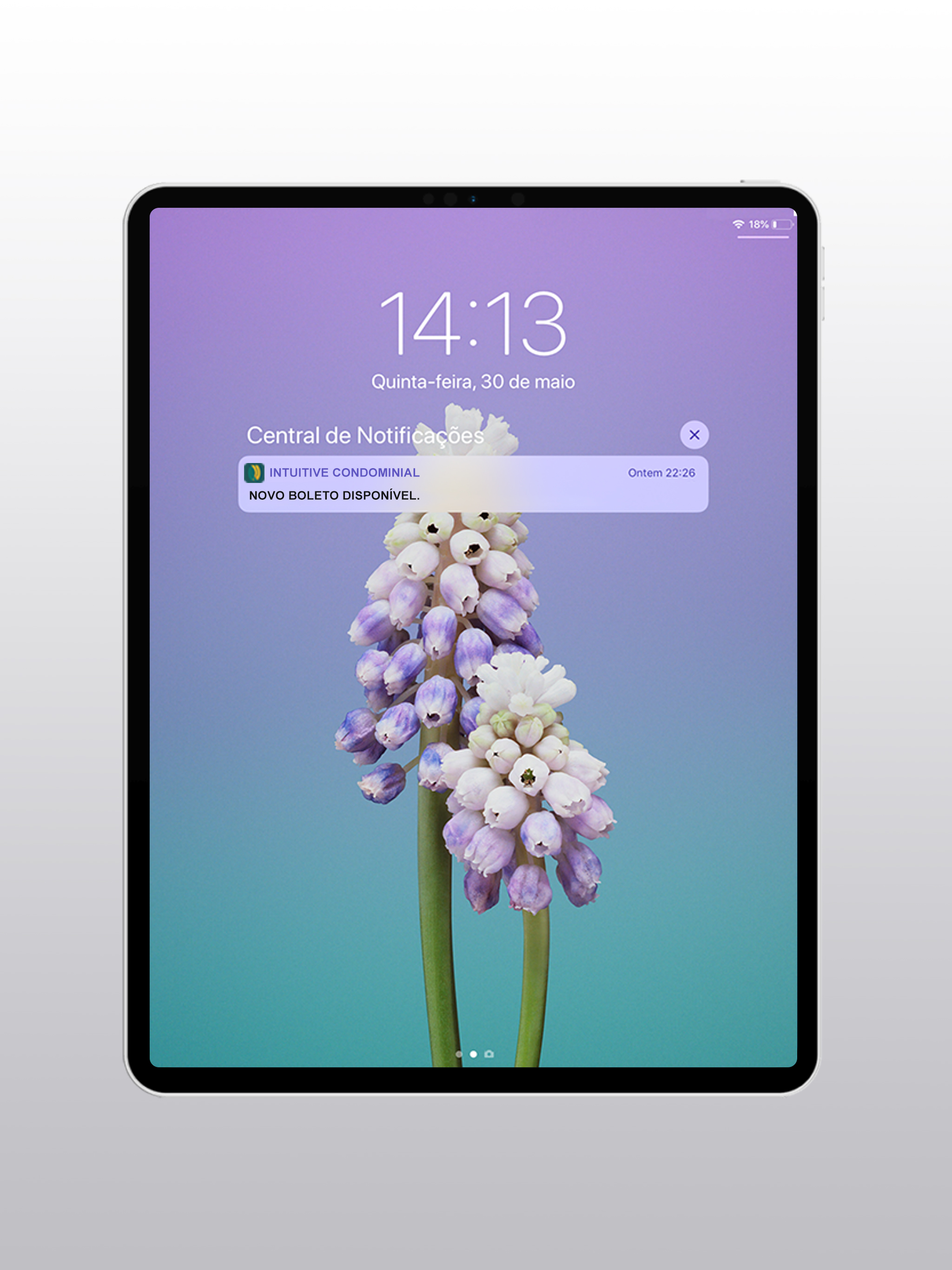 Intuitive Tecnologia