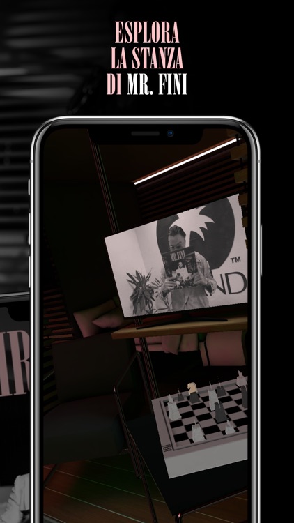 MR. FINI - The Experience