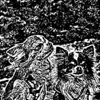 Change photo/image to woodcut! pour PC