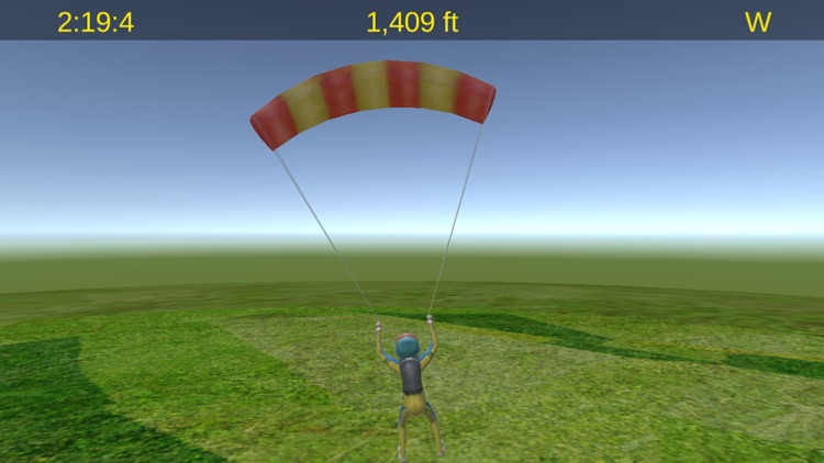 Skydiving Fever screenshot-4