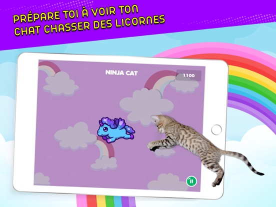 Screenshot #6 pour Ninja Cat: Jeu pour chats!