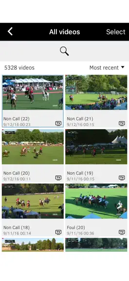 Game screenshot Polo Umpire mod apk