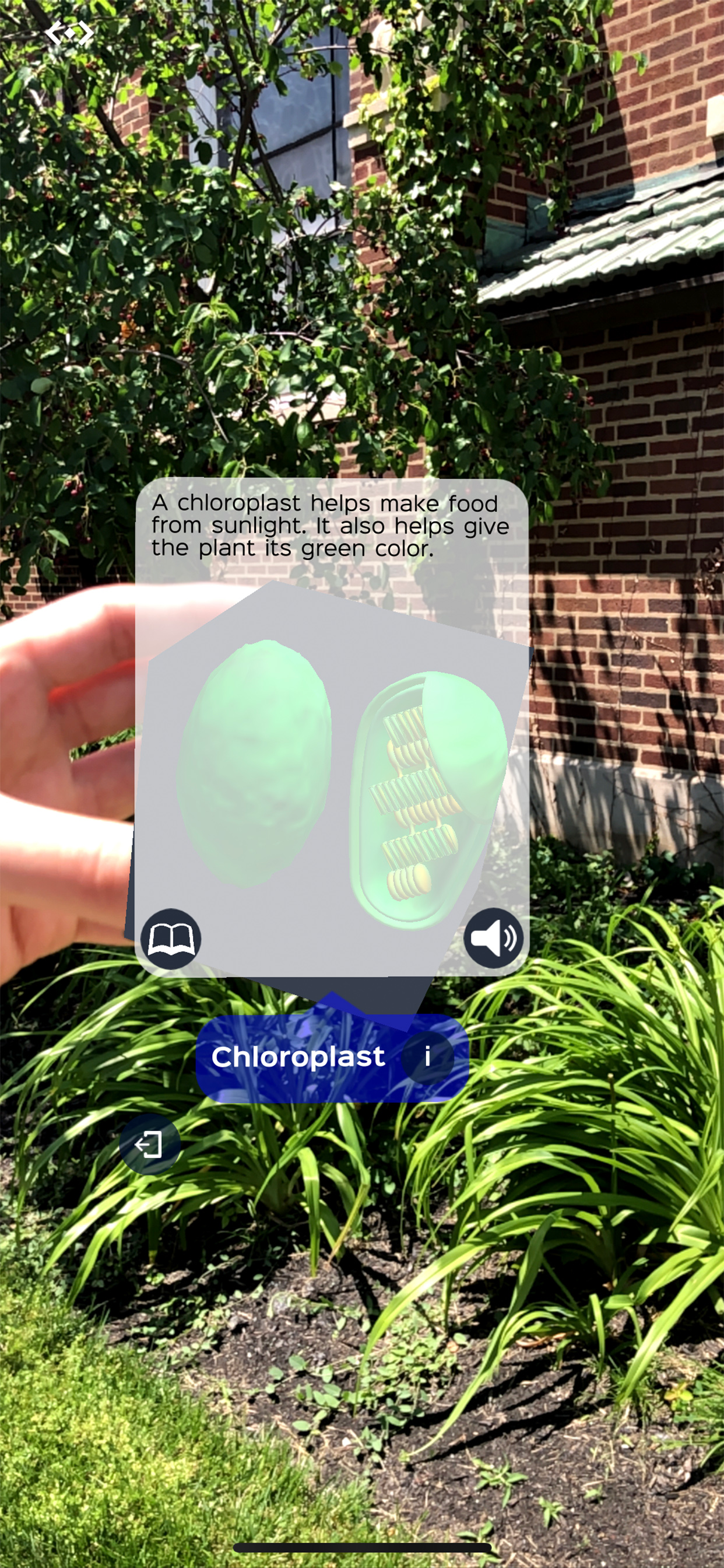 CellulAR for Merge Cube screenshot 5