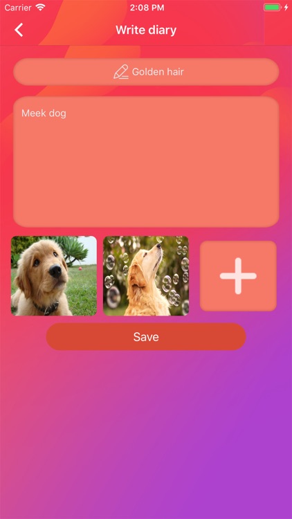 Pet life - Leisure time