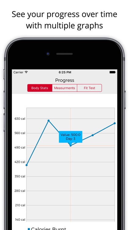 21 Day Container Workout Fix screenshot-4