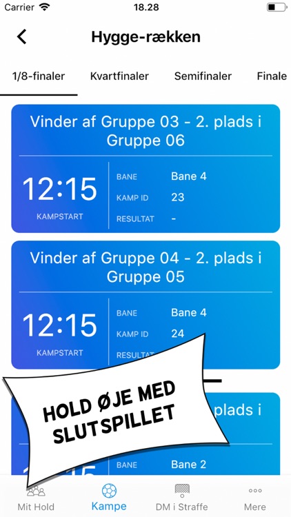 DM i Hyggebold screenshot-4