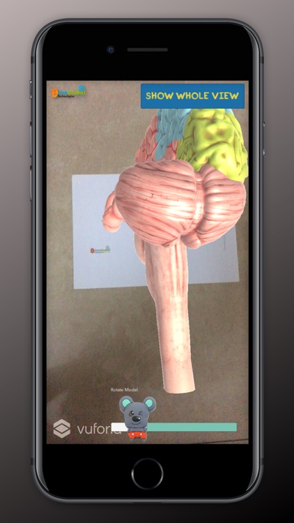 Human Anatomy (AR)