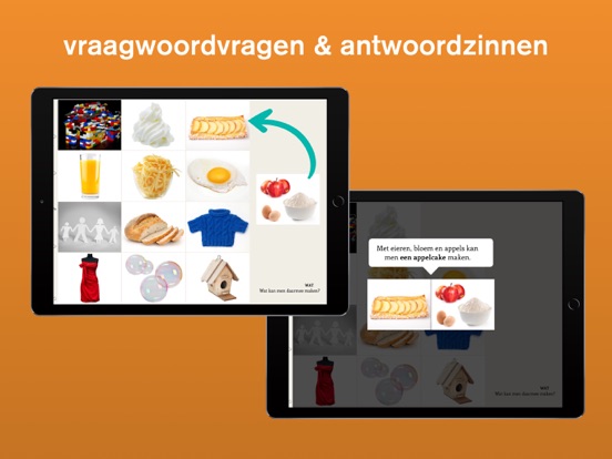 Lexico Vraagbegrip Pro iPad app afbeelding 2