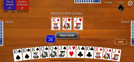 Pinochle Classic