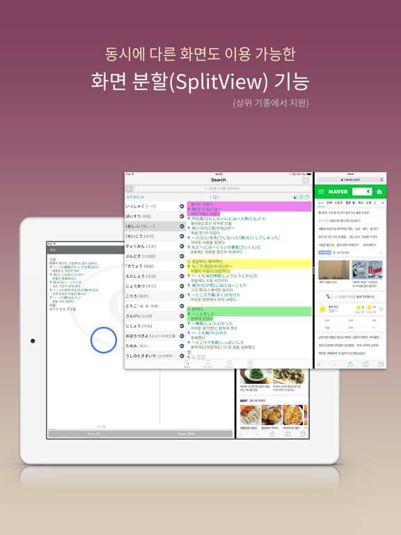 엣센스 일한일 사전 - JpKoJp DIC iPad screenshot