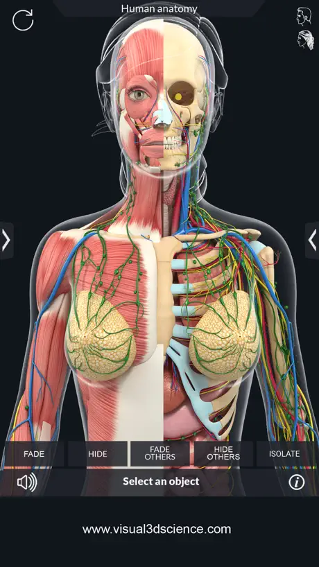 AR Human Anatomy