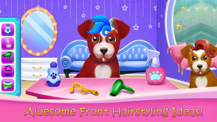 Fluffy Labrador Puppies Salon
