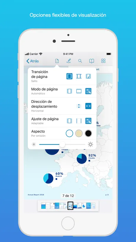 PDF Viewer