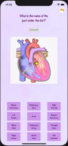 Anatomy Whiz screenshot #3 for iPhone