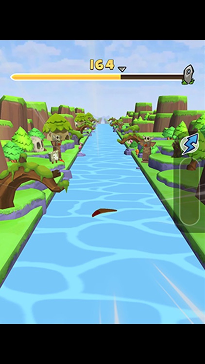 Ducks and Drakes-Seaside Game