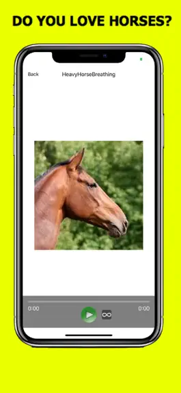 Game screenshot Horse Sounds+ Horse Soundboard mod apk