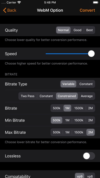 Video 2 WebM Cross Converter