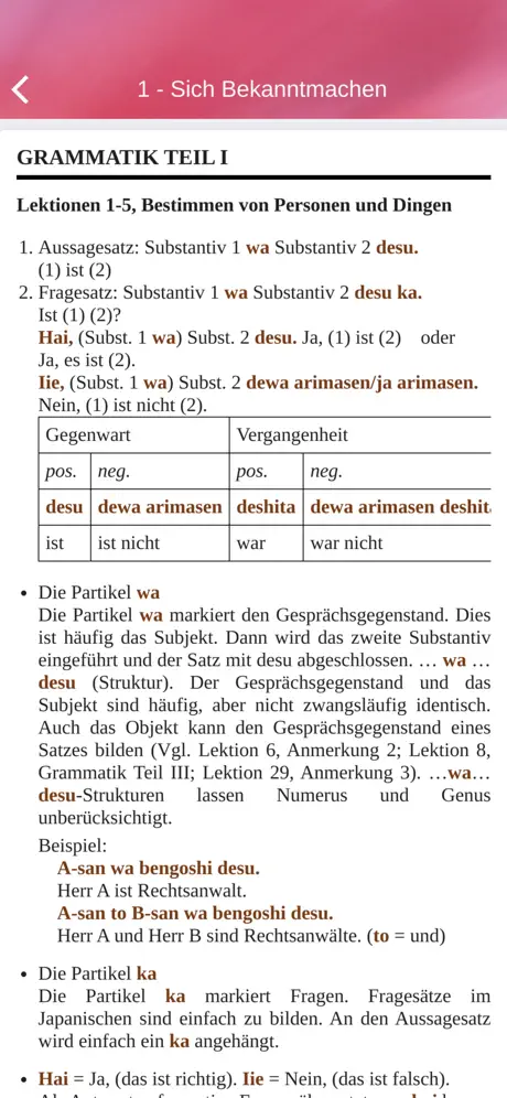 Japanisch im Sauseschritt 1