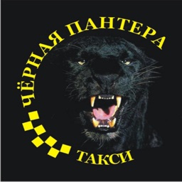 Чёрная Пантера