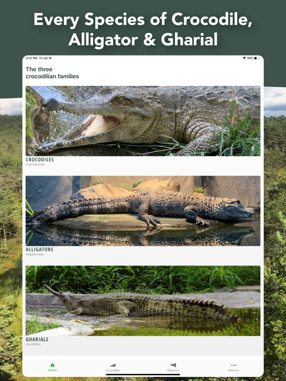 Screenshot #4 pour Crocodile, Alligator, Gharials