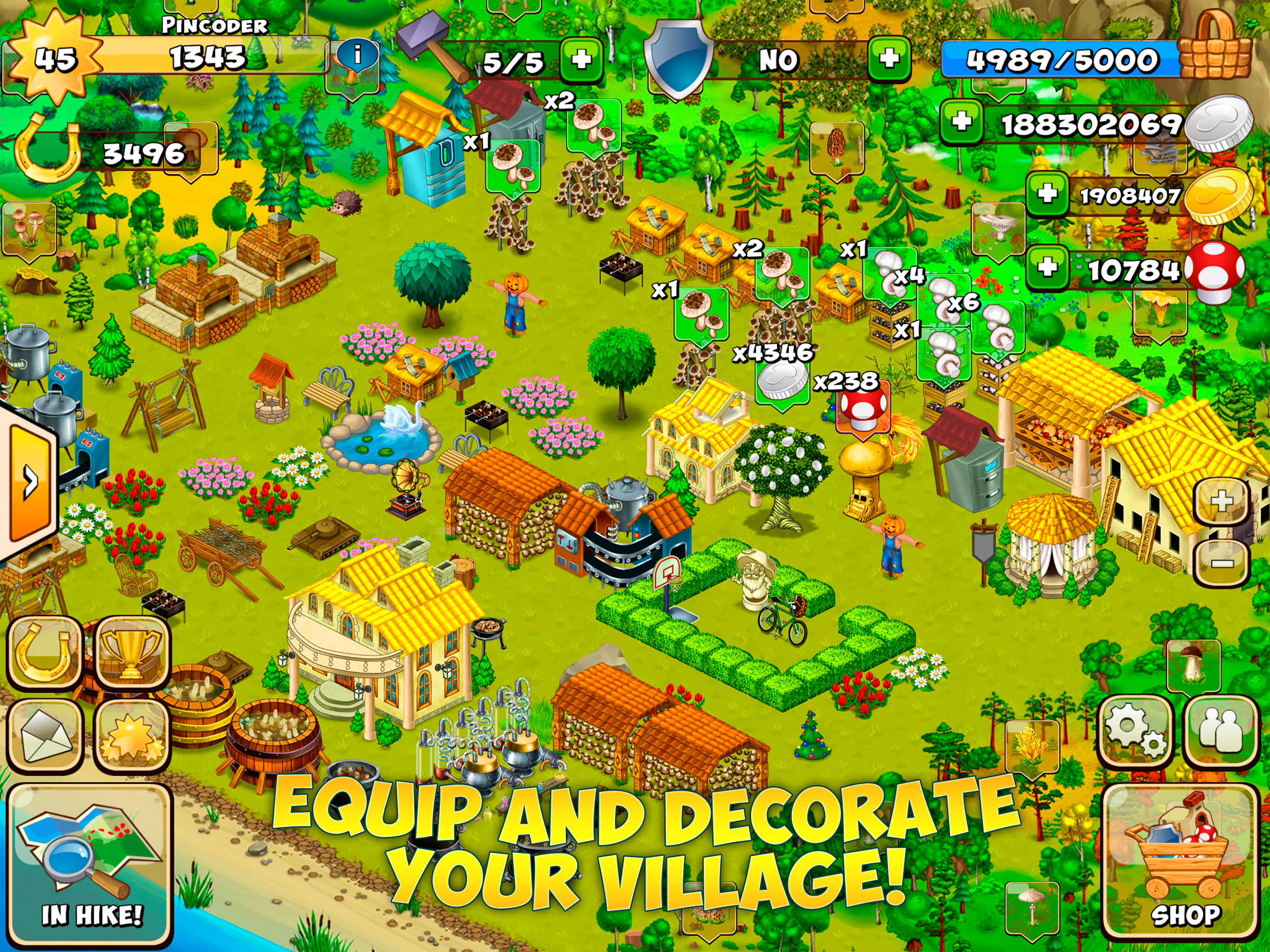 Forest Clans