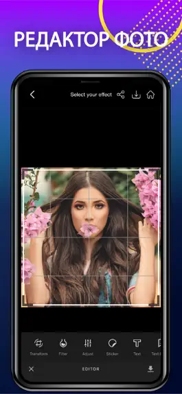 Game screenshot PicsPro hack