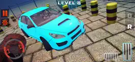 Game screenshot Real Drive and Park Sim apk