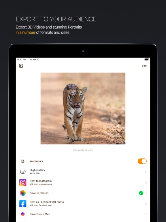 DPTH: AI 3d-photo editor iPad screenshot 4 - Photo & Video app