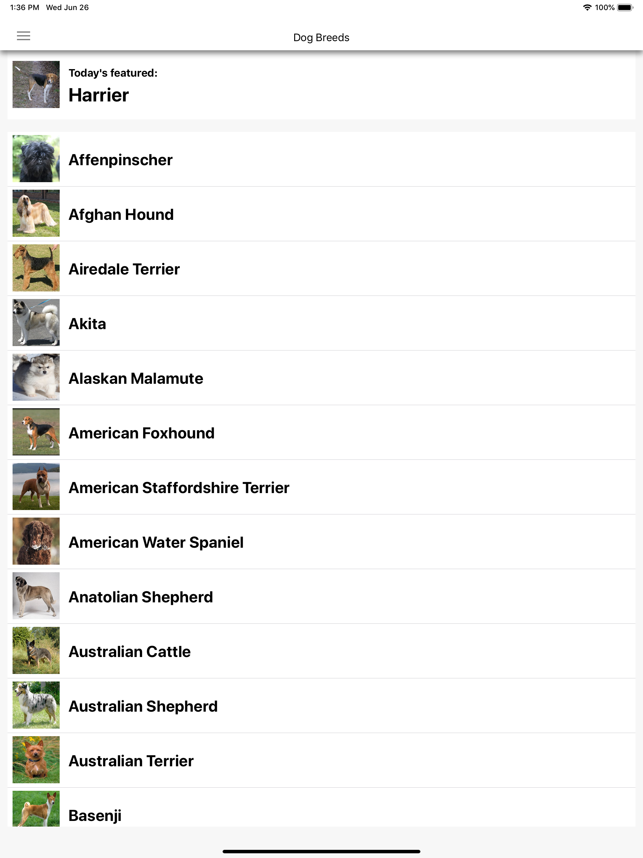 Dog Breeds HD Wallpapers