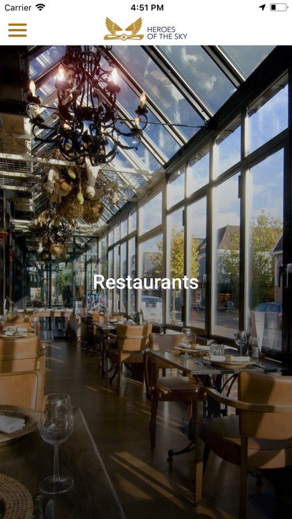 Heroes of the sky screenshot-3