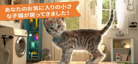 小さな子猫の冒険    -   4+