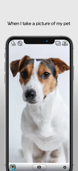 Game screenshot Timer Camera - Photo Editor mod apk