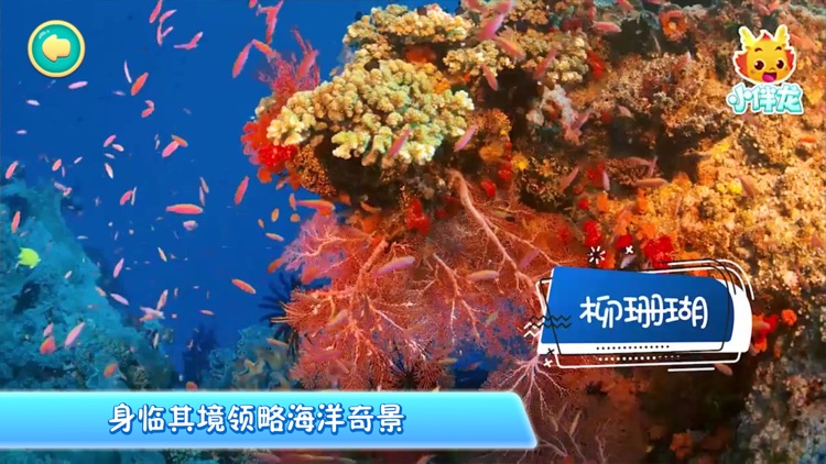 小伴龙海洋世界 screenshot-3