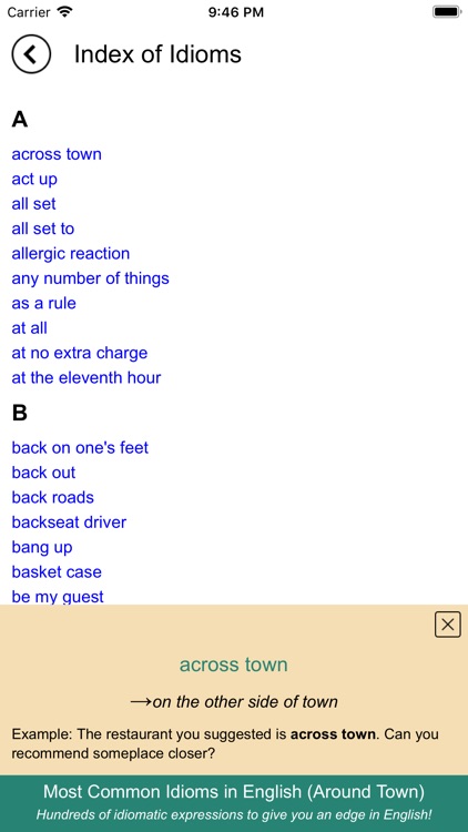 Idioms in English Around Town screenshot-4