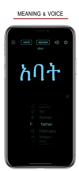 Game screenshot Amharic Words & Writing apk