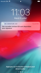Capture d'écran