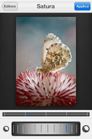 Photo Studio - Image Editor screenshot 4