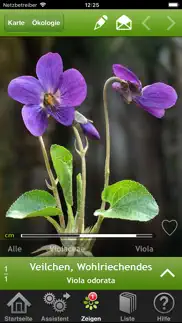 iblumen iphone bildschirmfoto 1