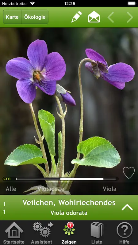 iBlumen screenshot 1 of 8