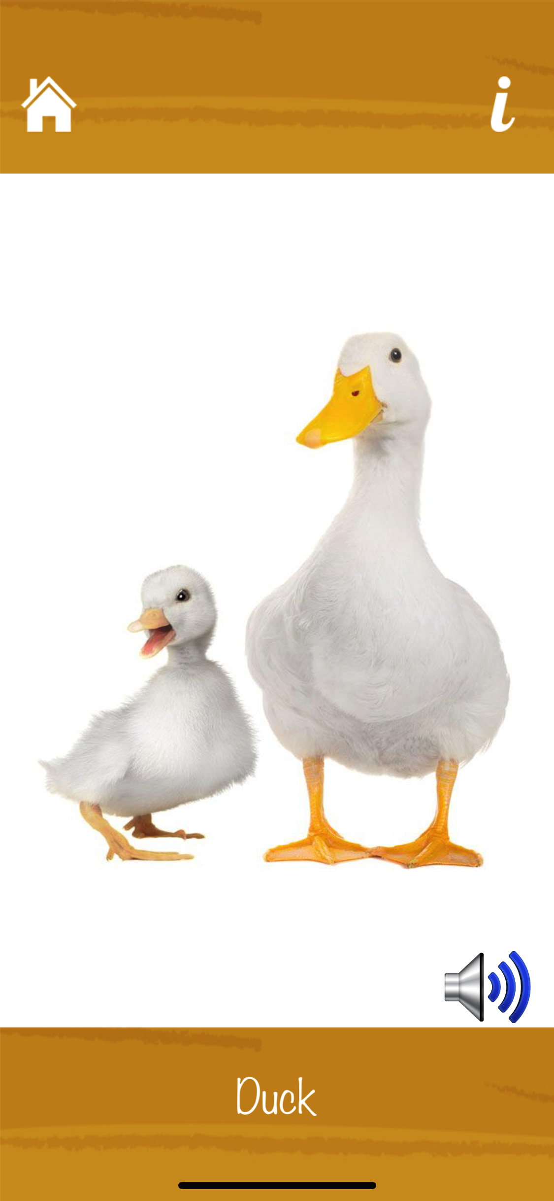 Learn Animals and Sounds screenshot 4