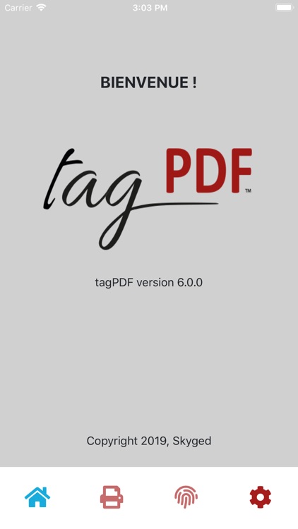 tagPDF