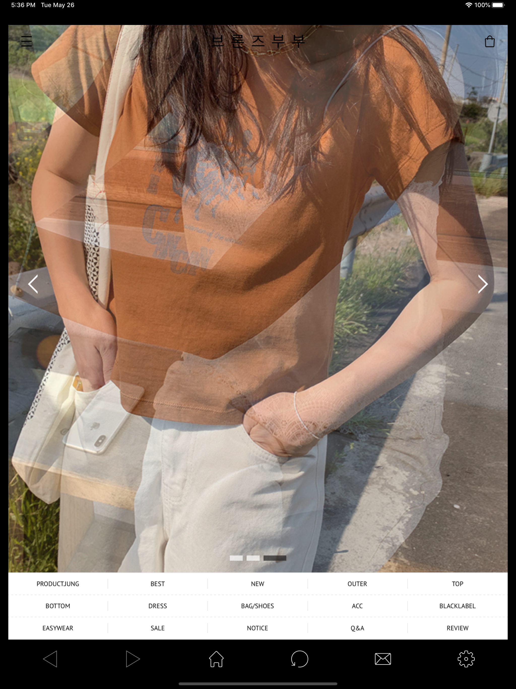 브론즈부부