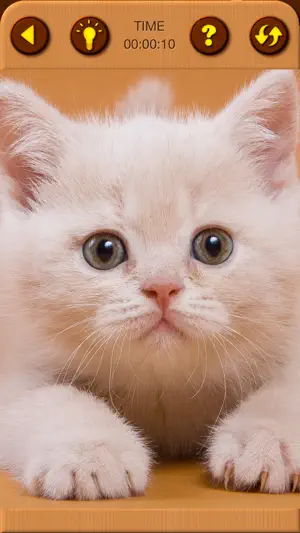 Cat Kitten Jigsaw Puzzle Games screenshot 7