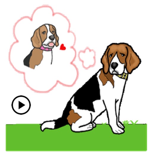 Animated Cute Beagle Stickers iOS App