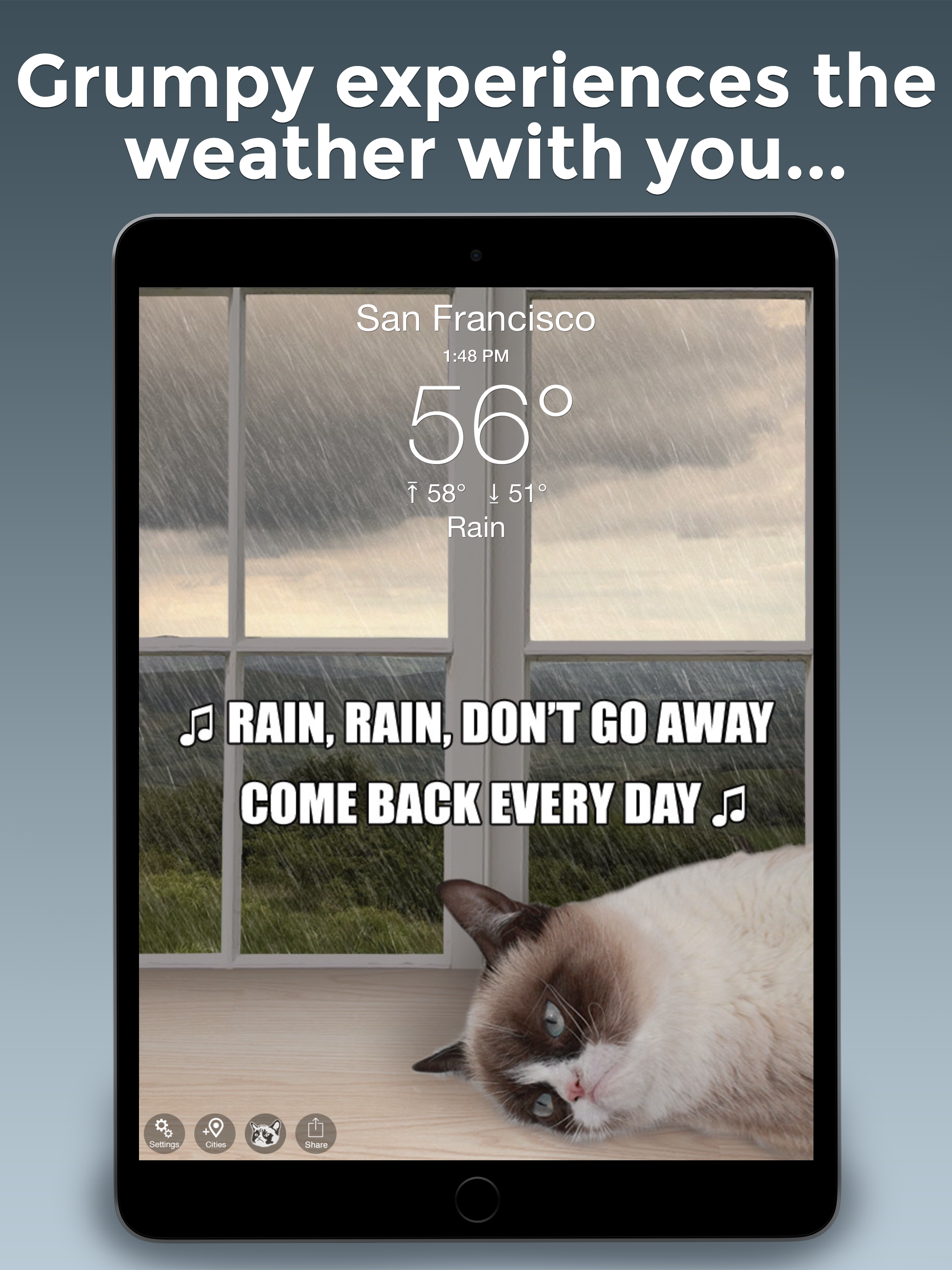 Grumpy Cat's Funny Weather
