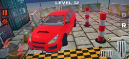 Game screenshot Real Drive and Park Sim hack
