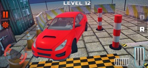 Real Drive and Park Sim screenshot #3 for iPhone