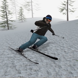 Alpine Ski III